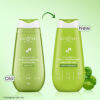 DotAndKey_100223